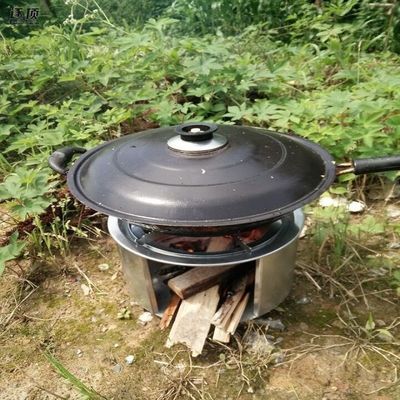 Aço inoxidável resistente ao vento Forno de madeira para churrasco